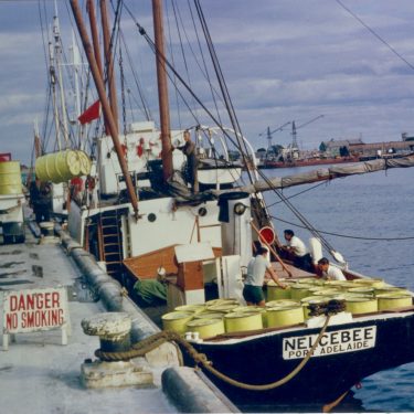 Loading drums at North Parade, Port Adelaide, about 1968, Courtesy R. Frickers and Co.