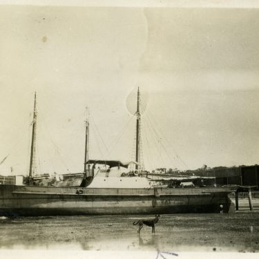 Nelcebee at Port Julia with 'Mac' the dog in the foreground, Courtesy Keith Dunn, SA Maritime Museum Collection