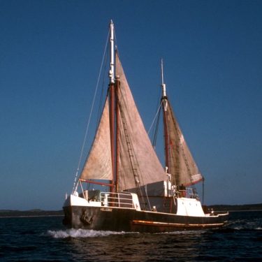 Nelcebee leaving American River, about 1979, Courtesy Photographer Chris Frizell